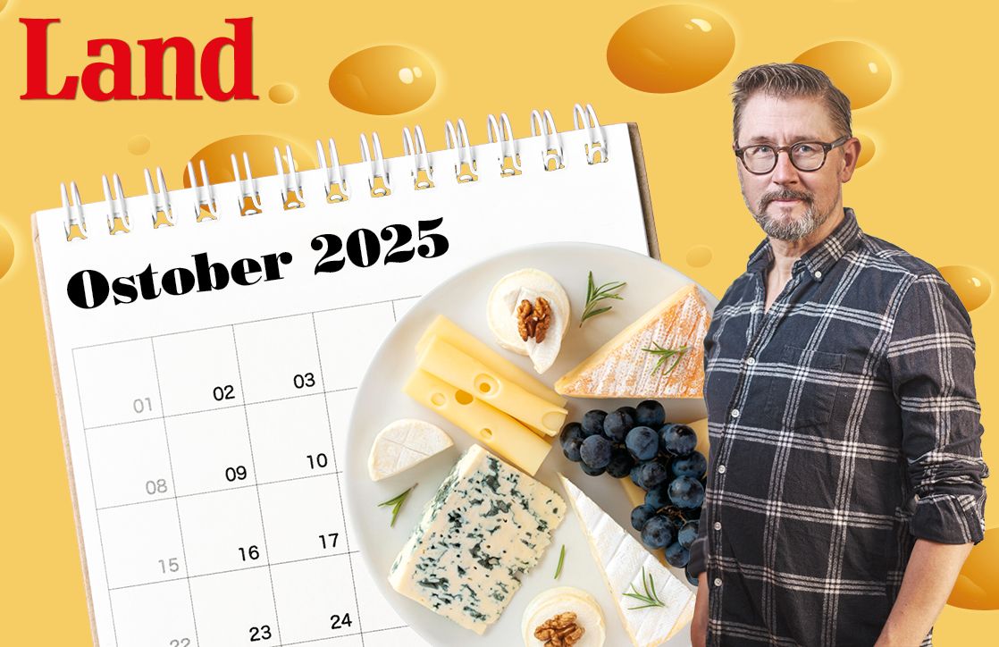 Land och Joel Linderoth lanserar Ostober